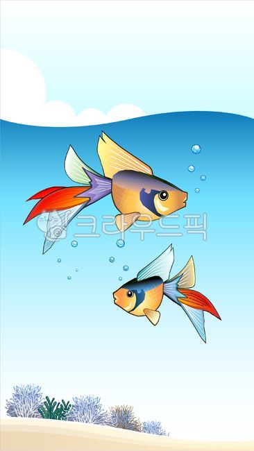 dolphin,turtle,sea,aqua,tropical fish,ocean,fish,tropicalfish,illustration,illust