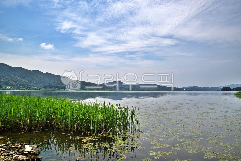 두물머리,양평,양수리,남한강,북한강,강,전원,자연,자연,풍경,nature,landscape