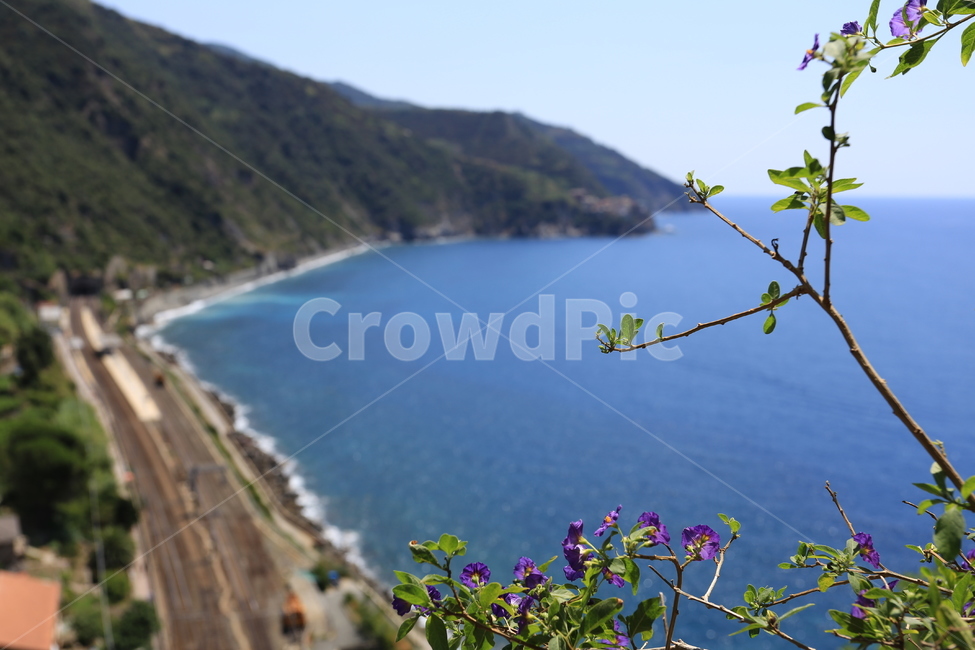 이태리,이탈리아,친퀘테레,마나롤라,italy,cinqueterre,유럽,바다,풍경,도로,기찻길,산