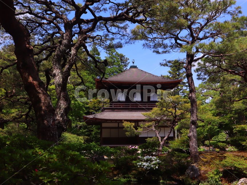 교토,은각사,풍경,일본,건물,전통,japan,kyoto,건축물