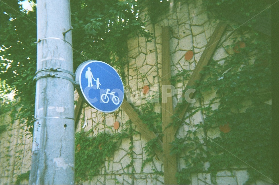 가로등,표지판,벽,풀,필름사진,나무,필름,감성,sensible,feeling,교통,교통수단,traffic,transportation