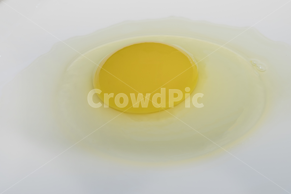 흰색배경,유기,브라운,아침식사,계란,단백질,근접촬영,치킨,다이어트,부활절,노랑,셸,그룹,부엌,절연,자연,농장,테이블,생쌀된,미식가,eggshell,먹다,아무도,영양,노른자,나무,전통,식사,저녁식사,제품,밀가루,새,점심식사,요리,인생,준비,동물,소박한,음식,식재료,요리,food,cook,meal,dishes,food reserves