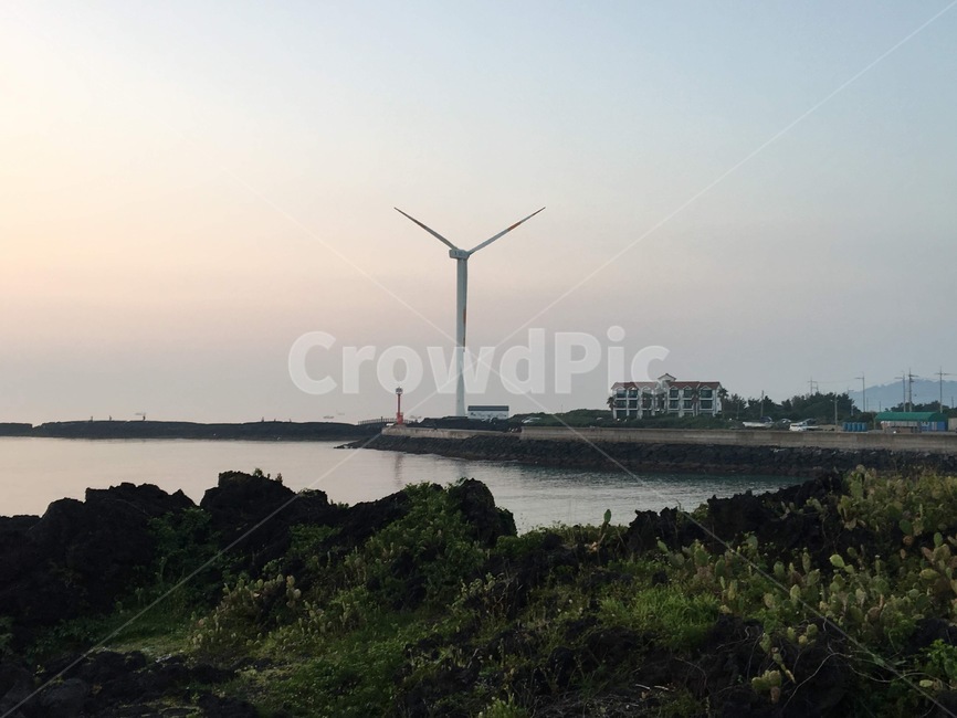제주,제주도,선인장마을,바다,해질녘,선셋,선인장,월령리,월령,월령선인장군락지
