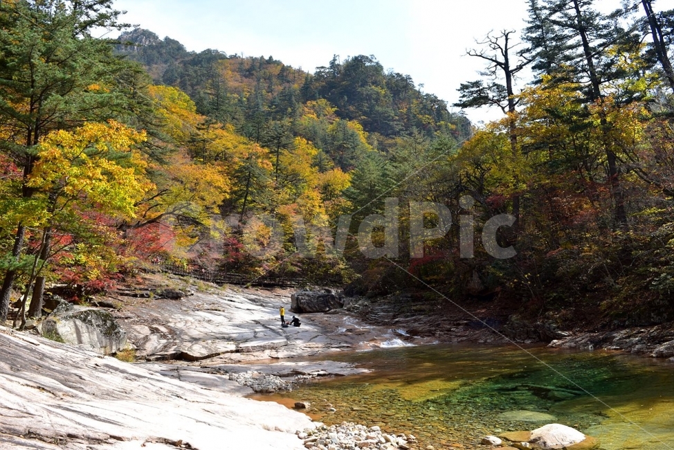 설악산,가을,단풍,풍경,백담사,구곡담계곡,수렴동계곡,계곡풍경,오색단풍,자연,스포츠,등산,산행,nature,느낌,아름다운,다큐,필,계절,디자인,힐링,명산,국립공원,순백,트레킹,단풍잎,오색,칼라풀,뷰티플,단풍터널,단풍숲,산객,등산객,그림같은,감성,절경,가을색,자연,풍경,nature,landscape,가을,계절,fall,autumn,season,water,물,creek,작은 만,stream,흐름,outdoors,옥외