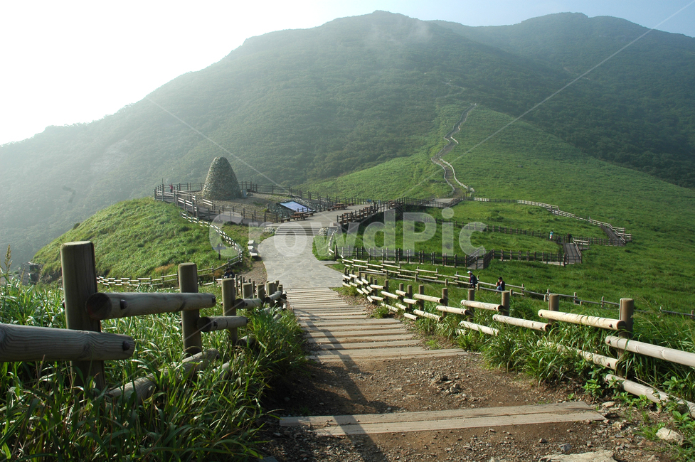 nature,자연,outdoors,옥외,경사,slope,풍경,scenery,간월제,울산,산,산길,돌탑,탑,통나무길,나무,자연,풍경,nature,landscape
