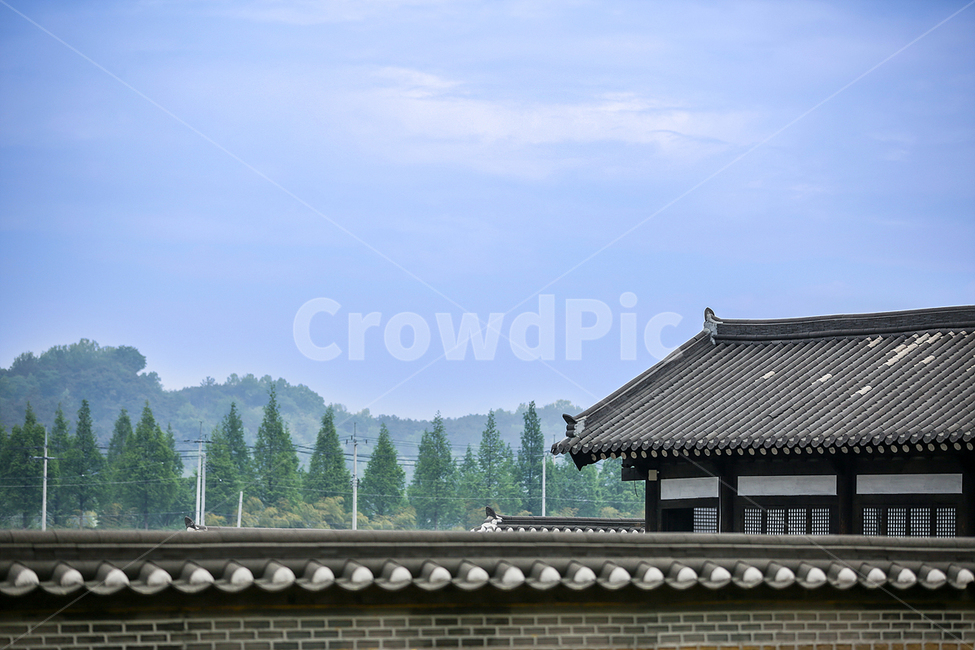 담장,기와,전통가옥,전통,기와집,한국전통,한국문화,korean traditional,korean culture,건축물,건물외관,exterior,building,structure,architecture,construction