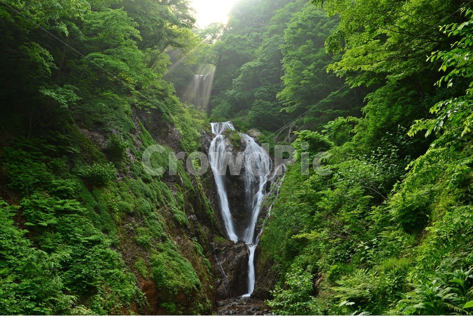 nature,자연,outdoors,옥외,water,물,waterfall,폭포,울릉도,봉래폭포,이끼계곡,경치,경관,비경,풍경,자연,풍경,nature,landscape