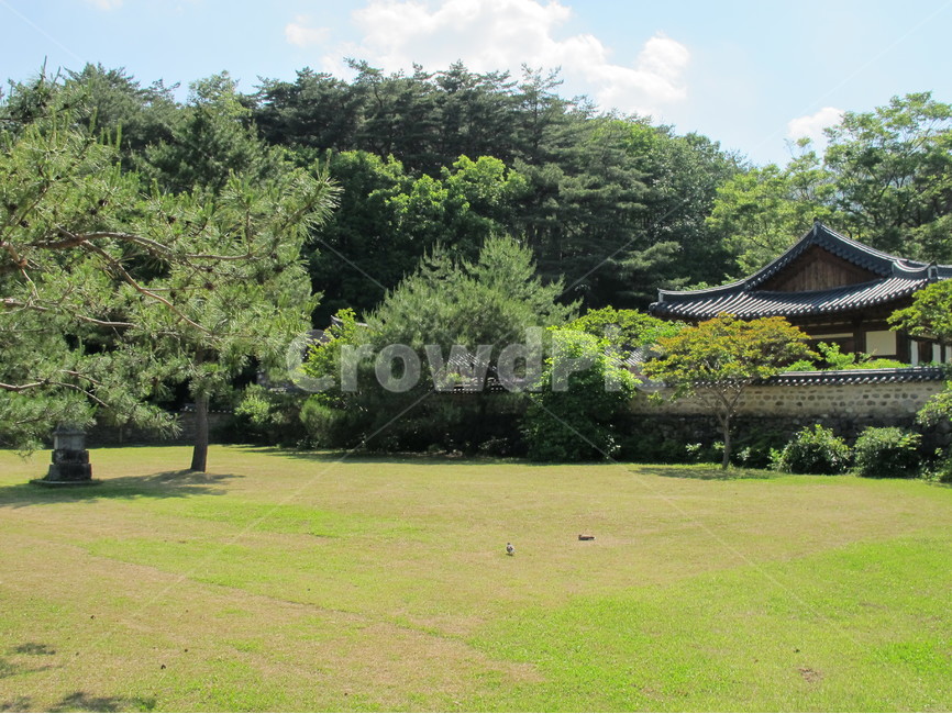 김천,직지사,뜰,절,고즈넉,temple,자연,풍경,nature,landscape,한국자연풍경,한국자연경관,korea nature landscape,한국전통,한국문화,korean traditional,korean culture,plant,식물,grass,잔디