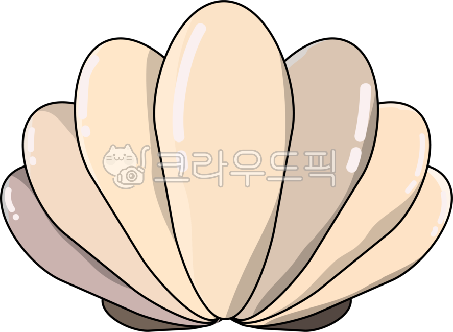 조개,진주,진주조개,조개일러스트,무척추동물,해양생물,해물