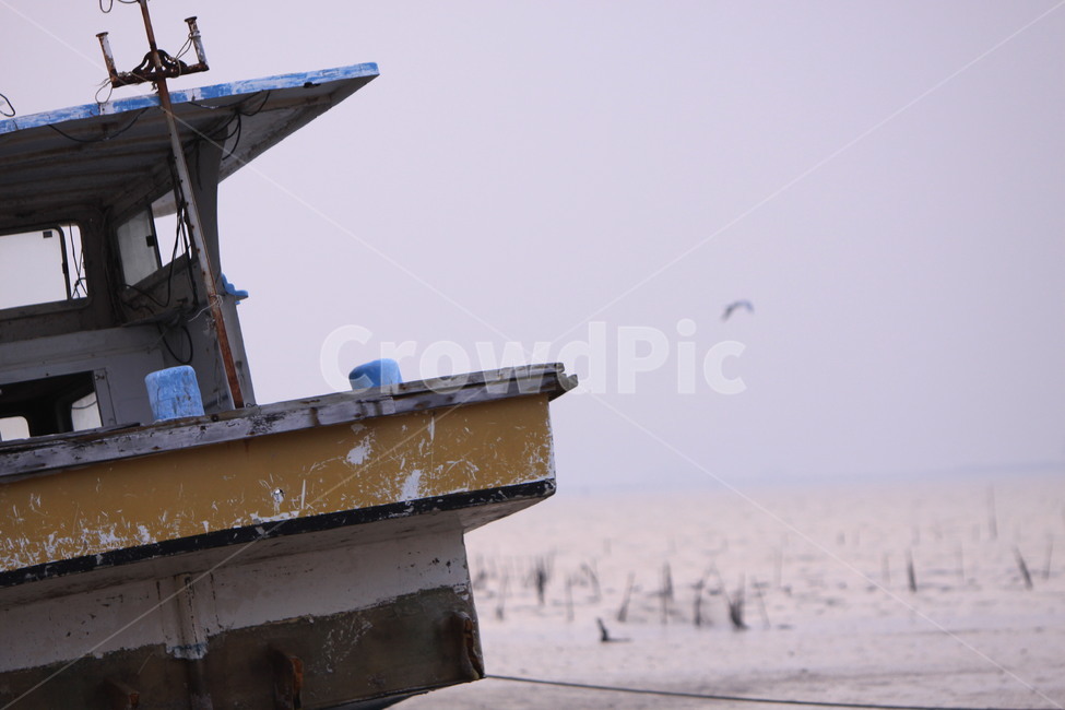 순천,와온해변,폐선,바다,배,정박,감성사진,해질녁,해변,바다,beach,sea,교통,교통수단,traffic,transportation,handrail,난간,banister