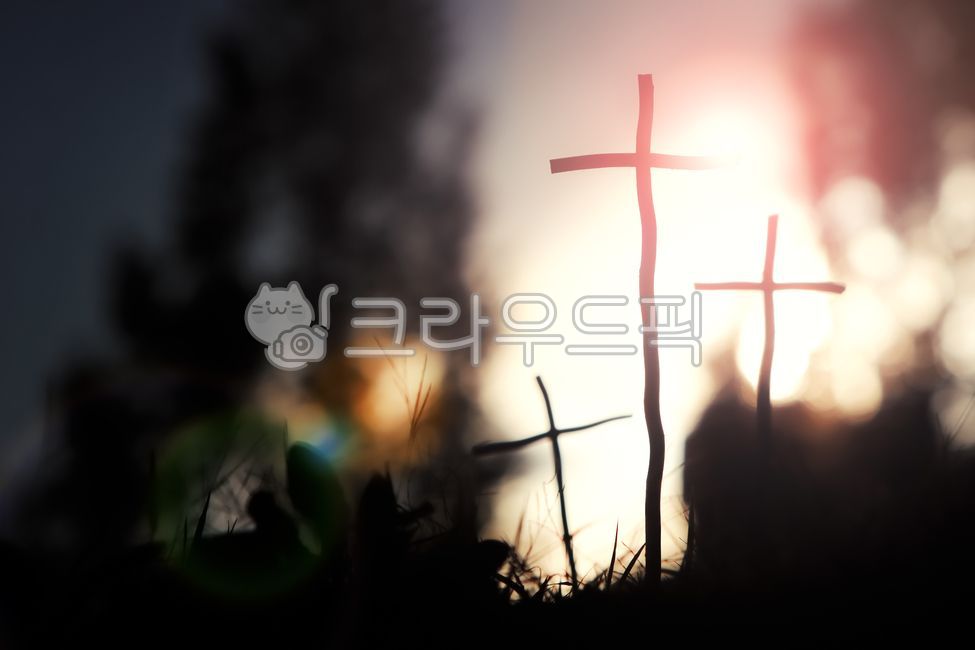 십자가,종교,예수그리스도,교회,믿음,신앙,상징,빛,태양,광선,기도,하늘,구름,햇빛,영적인,성경,부활절,묵상,기독교,카톨릭,거룩한,자연,숲,풀,나무,전도,무덤,죽음,부활