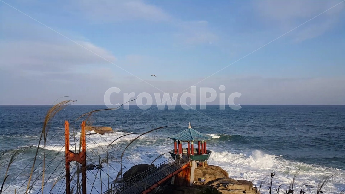 겨울바다,파도,정자,바람,풍경,한국전통,한국문화,korean traditional,korean culture,랜드마크,landmark,tourist attraction,한국랜드마크,한국관광지,한국명소,korea landmark,korea tourist attraction,건축물,건물외관,exterior,building,structure,architecture,construction