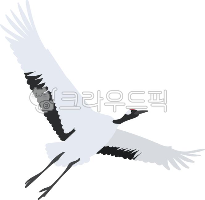두루미,두루미일러스트,두루미그림,학,학그림,학일러스트,새,대형새,날개,깃털,비행,새그림,새일러스트,500원새