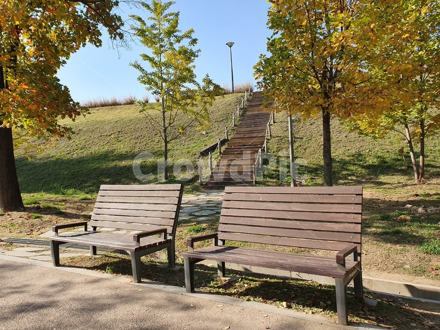 bench,벤치,가을,fall,계단,편안함,가을,계절,fall,autumn,season,furniture,가구