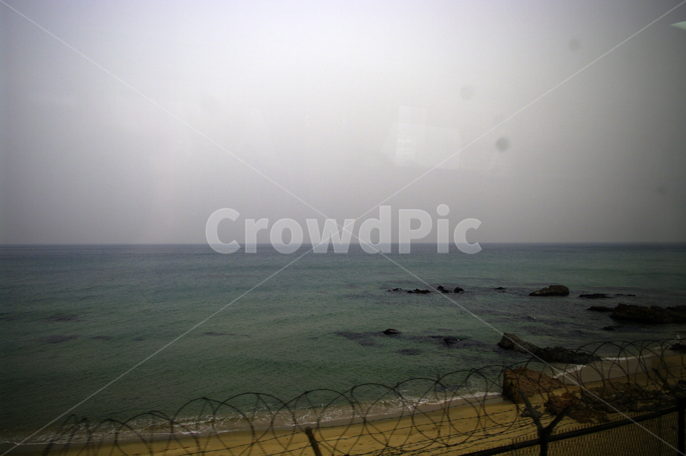 풍경,나무,하늘,바다,nature,자연