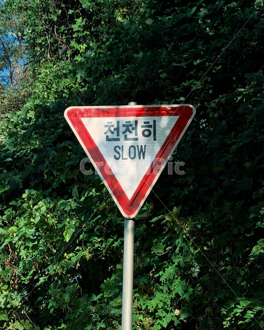 도로표지판,표지판,symbol,상징,roadsign,숲