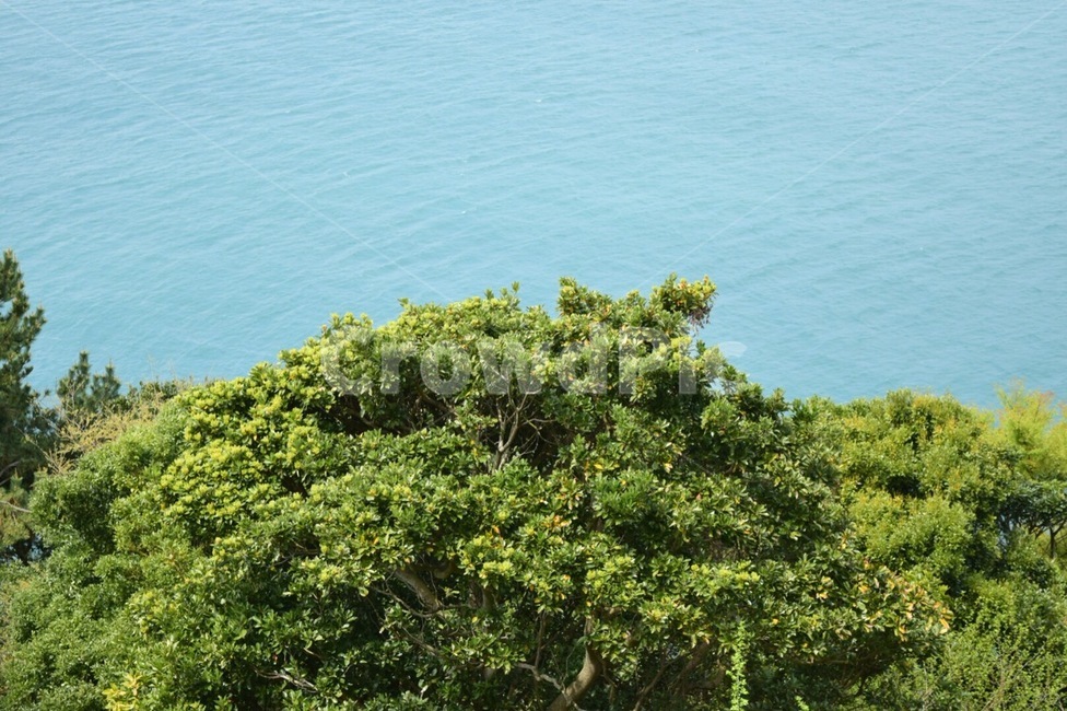 나무,자연,하늘,outdoors,감성사진,nature,자연,풍경,nature,landscape,옥외,land,땅,plant,식물,tree,vegetation,초목,bush,부시