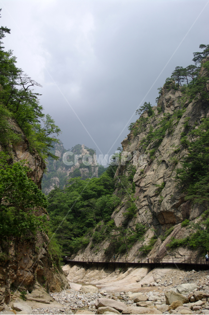 산,계곡,바위,암석,풍경,나무,설악산,자연,풍경,nature,landscape,outdoors,옥외,cliff,낭떠러지