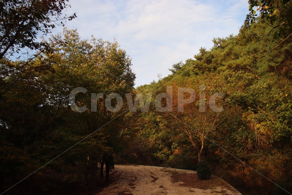 autumn road,fallen leaves,mountain path,autumn mountain,country road