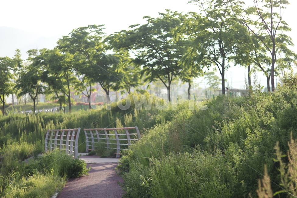 산책길,초록,나무,햇빛,풀,봄,자연,풍경,nature,landscape,한국자연풍경,한국자연경관,korea nature landscape,outdoors,옥외,garden,정원,arbour,정자