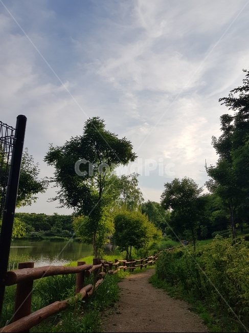 인천대공원,둘레길,길,풍경,자연,배경화면,힐링,산책로,산책