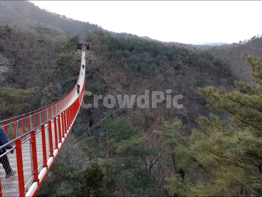 흔들다리,다리,산,겨울,나무,풍경,자연