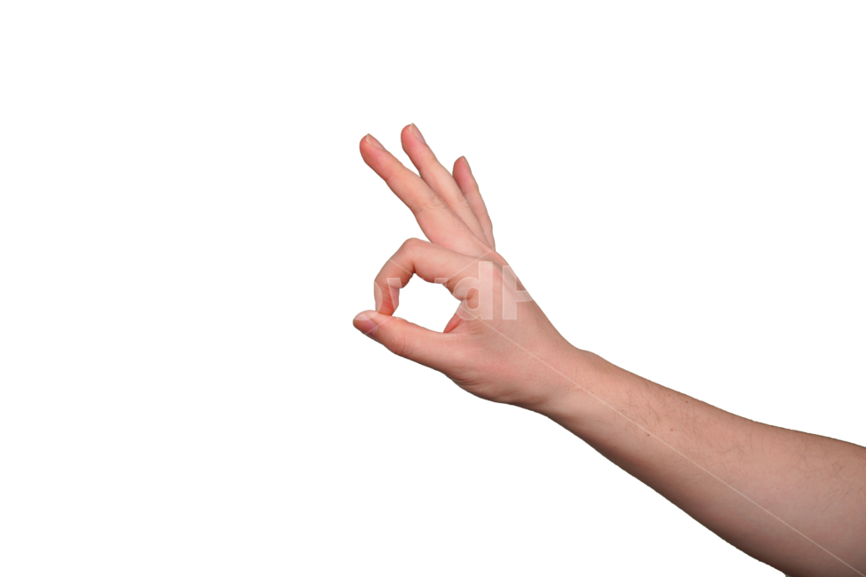 확인,오케이,손,손가락,표현,손동작,제스쳐,신체,인간,손짓,사인,손목,사람,연출,표시,신체일부,몸,body