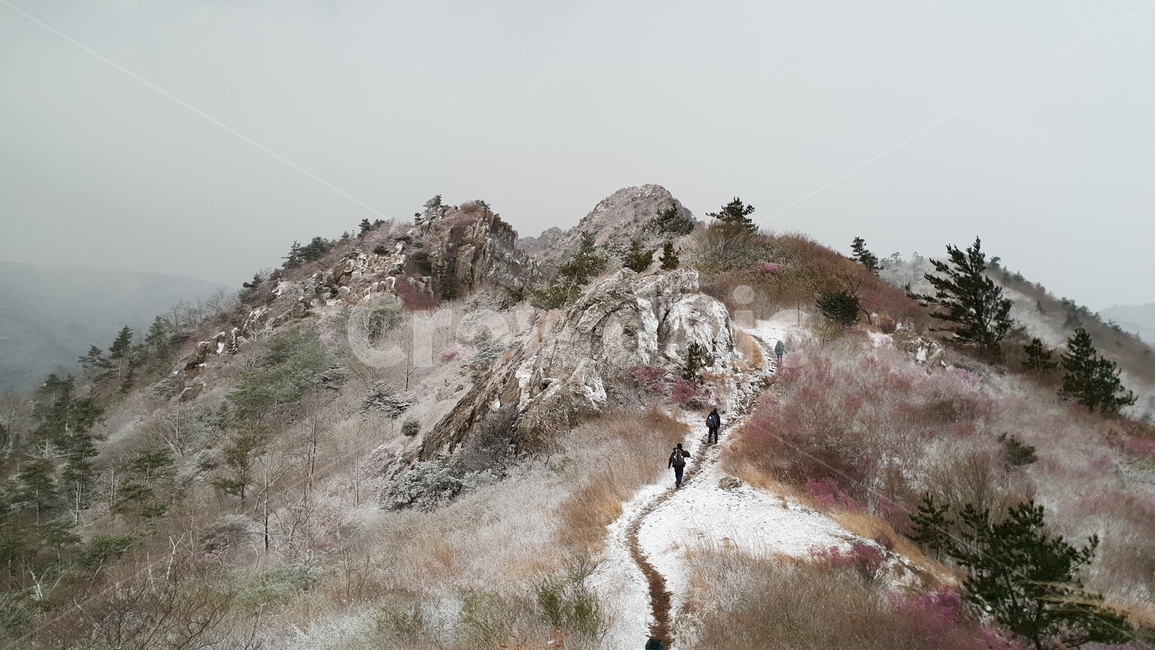 주작산,덕룡산,진달래,눈꽃,풍경,봄눈꽃,진달래눈꽃,산,자연,풍경,nature,landscape,ground,바닥
