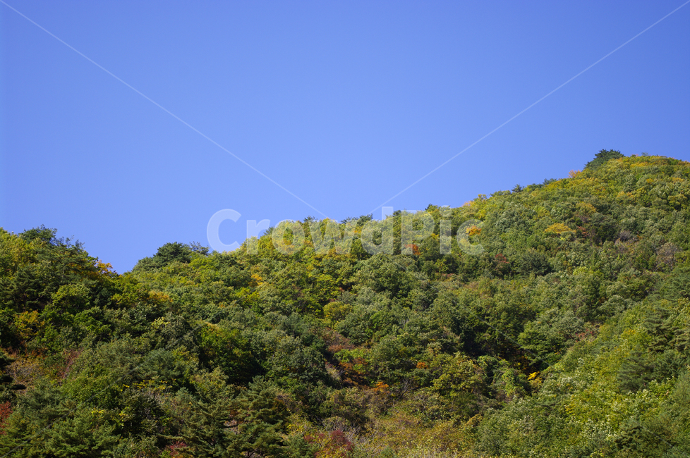 하늘,산,숲,나무,풍경,자연,풍경,nature,landscape,outdoors,옥외,vegetation,초목,plant,식물,bush,부시