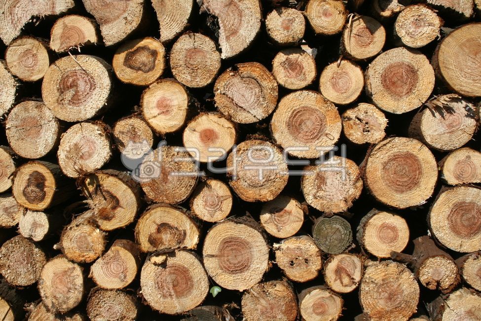 wood,목재,쌓여있음,둥근모양,나무토막