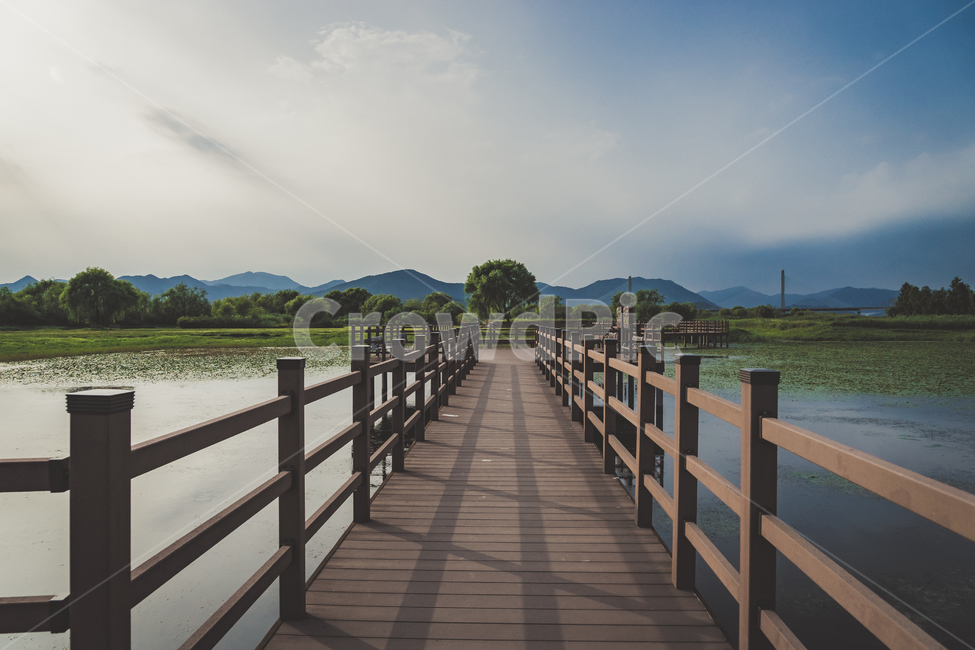 scenery,summer,cloud,mountain,view,Busan,wood,park,sky,nature,tree,Nakdong River,busan,Hwamyeong Ecological Park,bridge,river