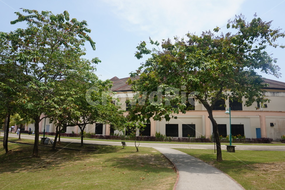 코타키나발루,말레이시아,여름,하늘,풍경,건물,색감,summer,kotakinabalu,landscape,building,green,자연,nature,낮,나무,tree