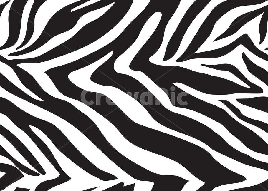 zebra,얼룩말,얼룩말무늬,지브라,지브라패턴,zebraskin,블랙앤화이트,pattern,무늬,animalprint,사파리,safari,자연,vector,패턴,벡터,그래픽,일러스트레이션,graphic,illustration,텍스처,질감,패턴,texture,pattern