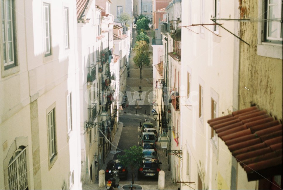 포르투갈,골목,도로,건축,건물,골목길,좁은길,도시,풍경,city,landscape,골목길,alley,해외,외국,세계,foreign,oversea,world,세계도시풍경,해외도시풍경,외국도시풍경,world cityscape,road,street,거리,town,시티,building,urban,어반,metropolis,중심지