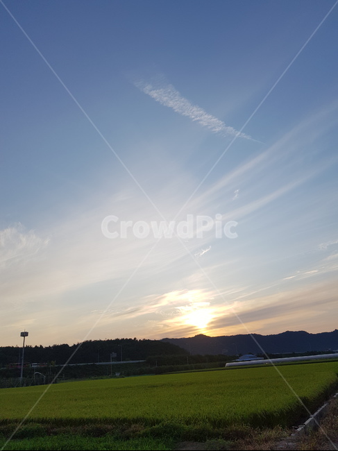 자연,nature,sky,하늘,구름,논,벼,석양,자연,풍경,nature,landscape,plant,식물,grass,잔디