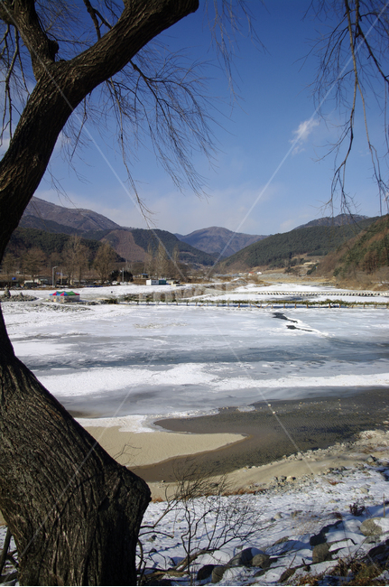 강,설경,나무,식물,plant,겨울,winnter,겨울,계절,winter,season,자연,풍경,nature,landscape,tree