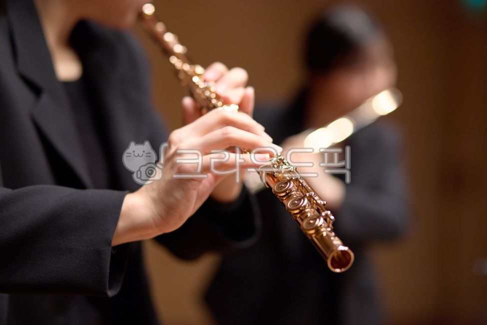 악기,플륫,플루트,flute,music,클래식,클래식음악,뮤직,음악,관악기,목관악기,오케스트라