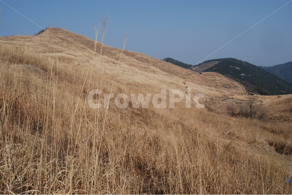 화왕산,창녕화왕산성,비들재,등산로,능선,치유,여행,돌,산행,힐링,자연,동행,등산,계절,한국,한국명산,한국등산,풍경,나무,하늘,바람,땅,자연,풍경,nature,landscape,한국자연풍경,한국자연경관,korea nature landscape,grassland,목초지,outdoors,옥외,field,들