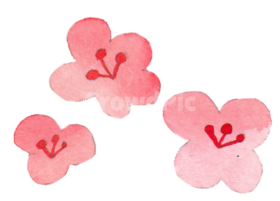 수채화,진달래,벚꽃,분홍꽃,일러스트꽃,일러스트,손그림,핑크색꽃,pink,flower,심플한,귀여운,꽃,예쁜,아기자기한,그림,그래픽,일러스트레이션,graphic,illustration
