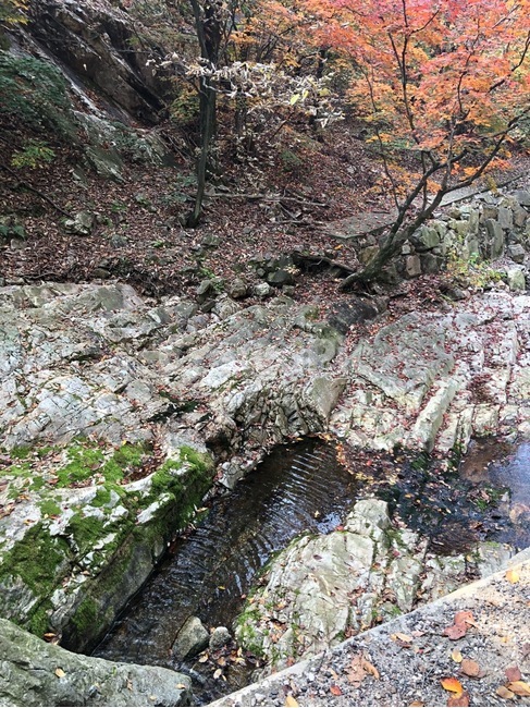 water,물,바위,자연,낙엽,자연,풍경,nature,landscape