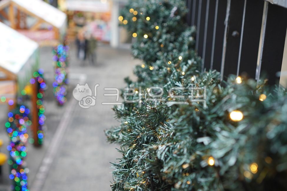 크리스마스트리,christmastree,장식,식물,plant,ornament