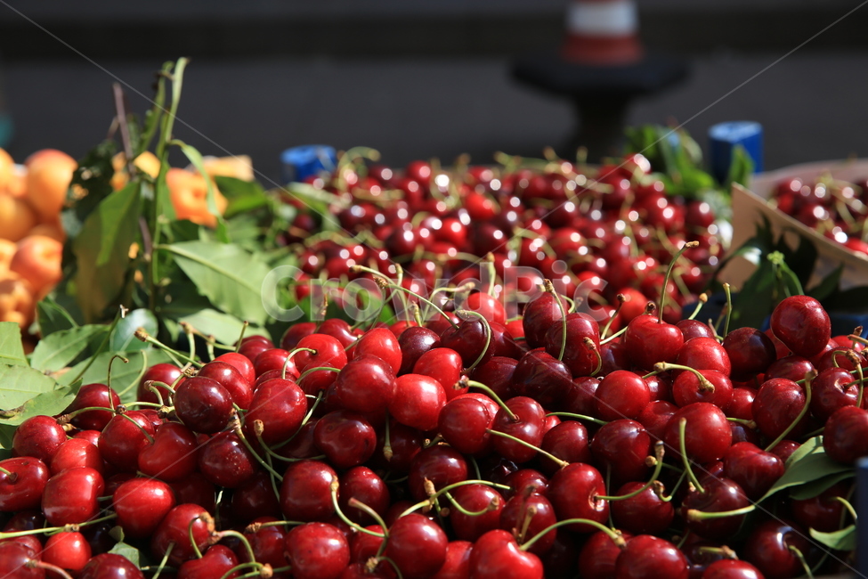 체리,과일,cherry,빨간체리,fruit,음식,식재료,요리,food,cook,meal,dishes,food reserves,과일,열매,fruit