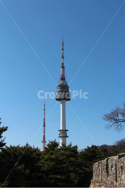봄,남산,SEOUL,N서울타워,남산공원길,랜드마크,landmark,tourist attraction,한국랜드마크,한국관광지,한국명소,korea landmark,korea tourist attraction