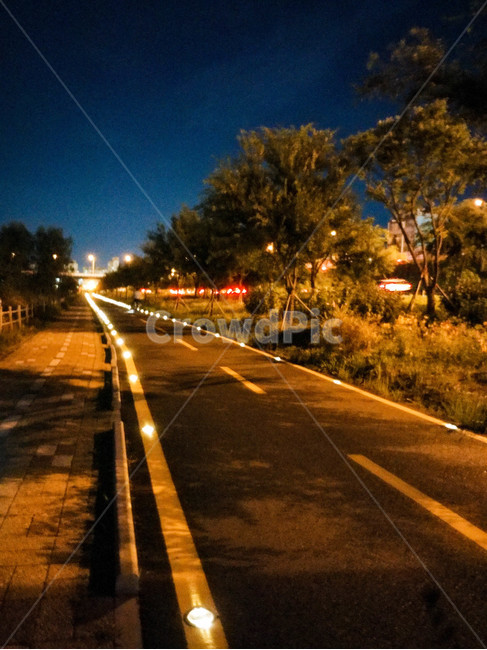 야경,자전거도로,자연,나무,잔디,야경,밤,풍경,nightscape,night,landscape,road,도로,asphalt,아스팔트,freeway,고속 도로,highway,고속도로