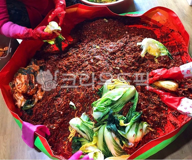 김장,김장김치,김치속,김장김치속,식재료,절인배추,한식,한국음식,한국요리,매콤,고무장갑,김장철,고추가루,야채,버무림,무채,무,food,새우젓,배추김치