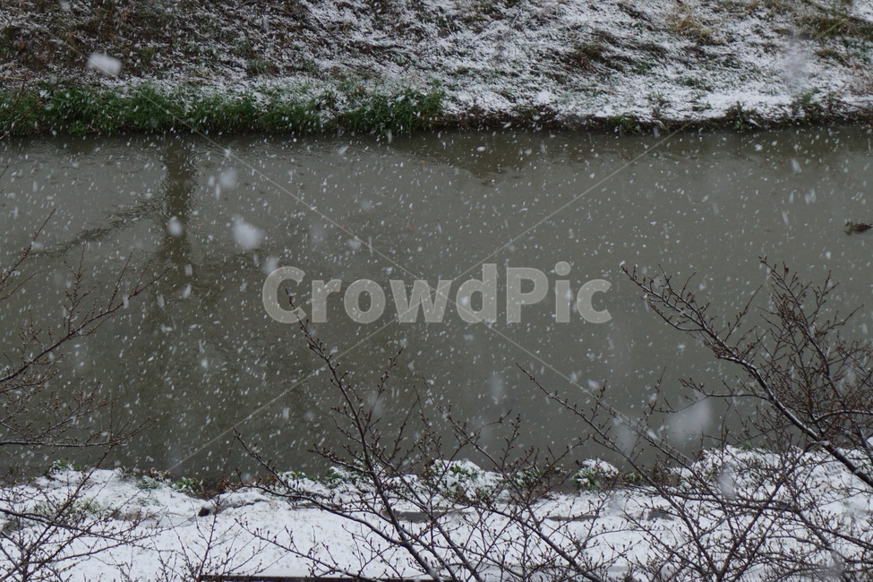 겨울,강가,함박눈,시골,흐림,겨울,계절,winter,season,자연,풍경,nature,landscape,outdoors,옥외,snow,눈,storm,폭풍,blizzard,눈보라