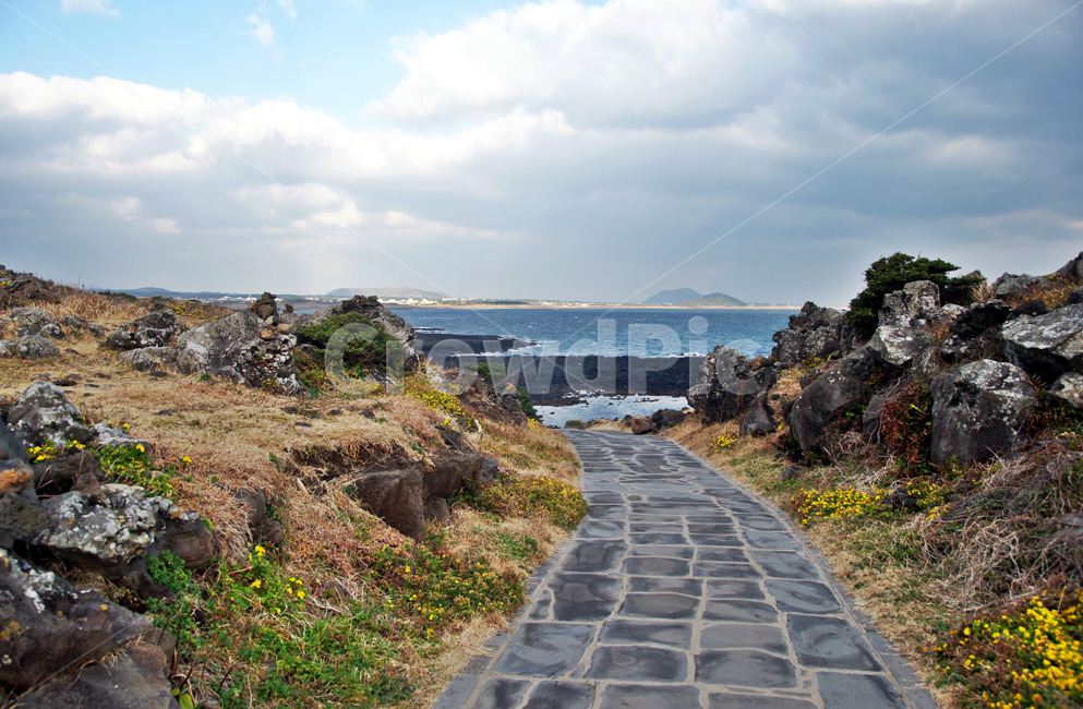 섭지코지,서귀포시,제주,자연,바다,도로,길,자연,풍경,nature,landscape,한국자연풍경,한국자연경관,korea nature landscape,제주도,jeju,jeju island
