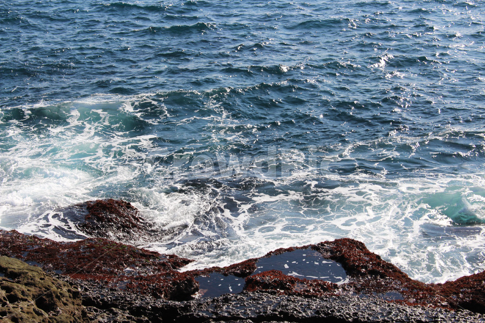 바다,물결,sea,자연,여름,시원한,푸른,청량한