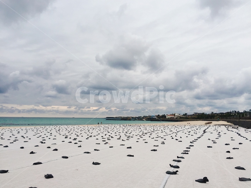 제주도,jeju,바다,beach,jejuisland,제주,제주도바다,제주바다,구름,하늘,수평선,파도