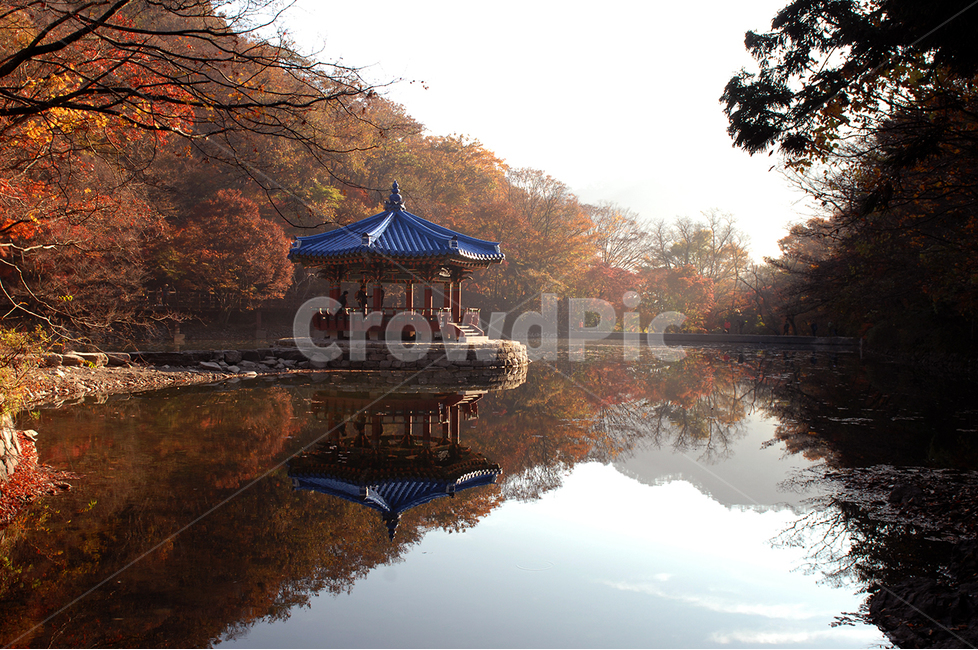 자연,가을,단풍,내장산,식물,가을,계절,fall,autumn,season,한국전통,한국문화,korean traditional,korean culture,건축물,건물외관,exterior,building,structure,architecture,construction,gazebo,전망대